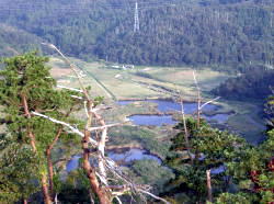池見新田地図